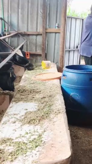 TikTok video thumbnail by thesheepnest1