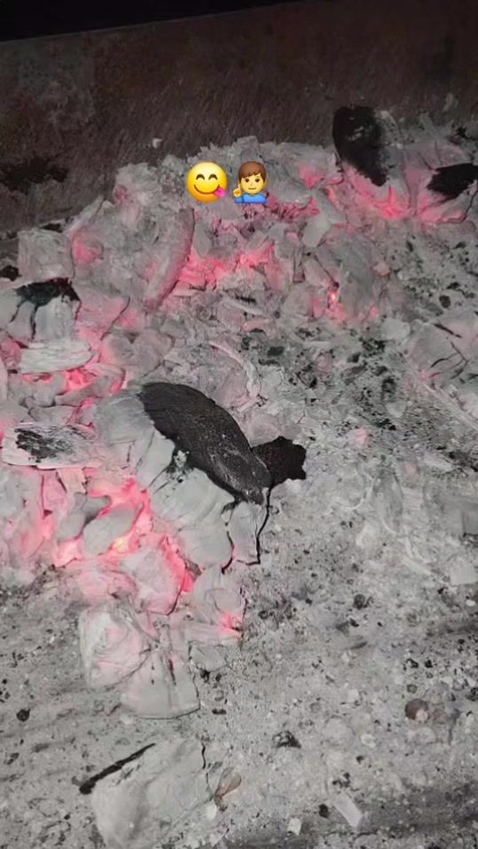 TikTok video thumbnail by abrampenner5oo
