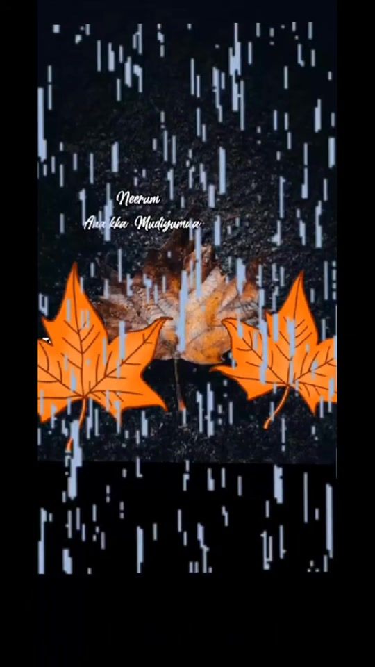 TikTok video thumbnail by sadbird992