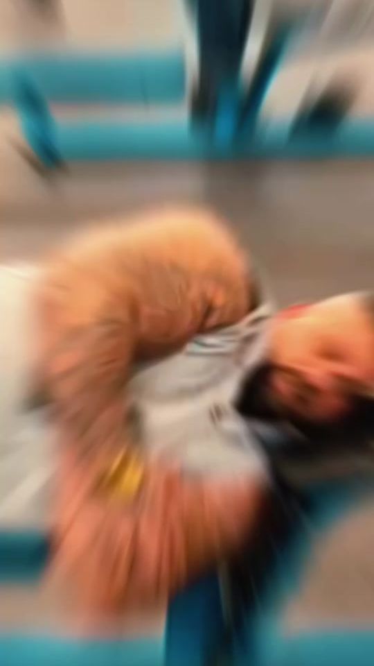 TikTok video thumbnail by kingotheking12