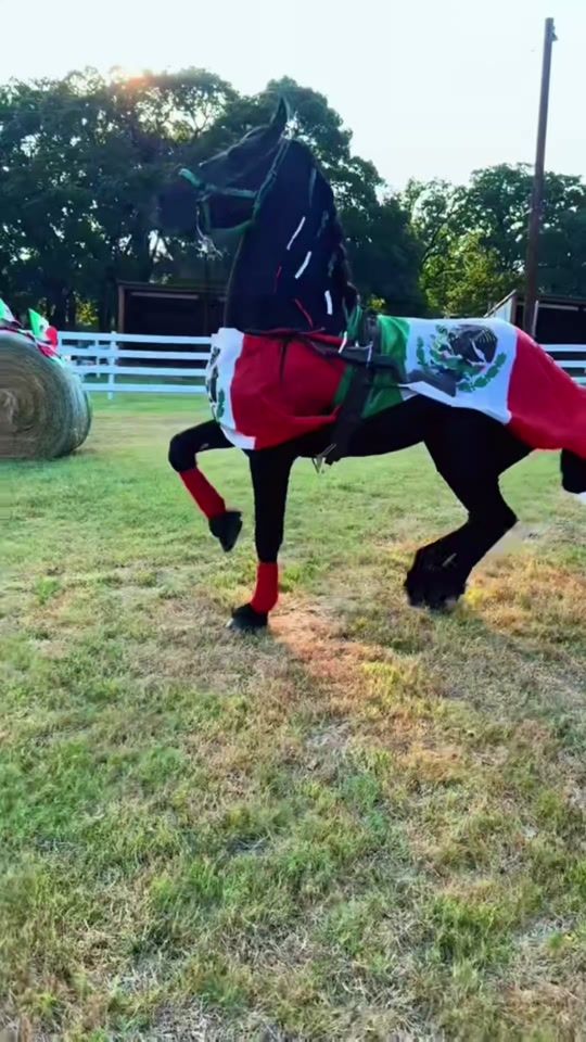 TikTok video thumbnail by marlenhernandez007