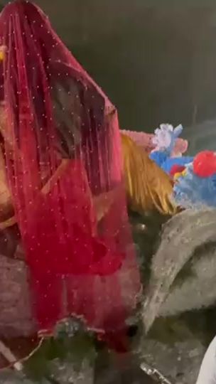 TikTok video thumbnail by rohanramdoyal5