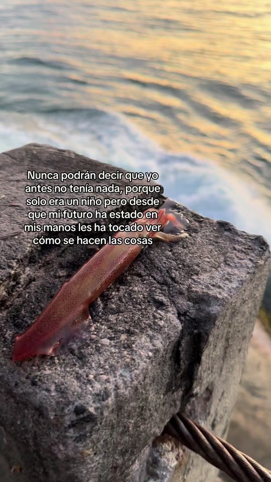 TikTok video thumbnail by lplasencia