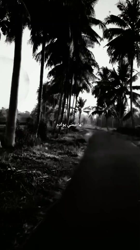TikTok video thumbnail by al91_aa