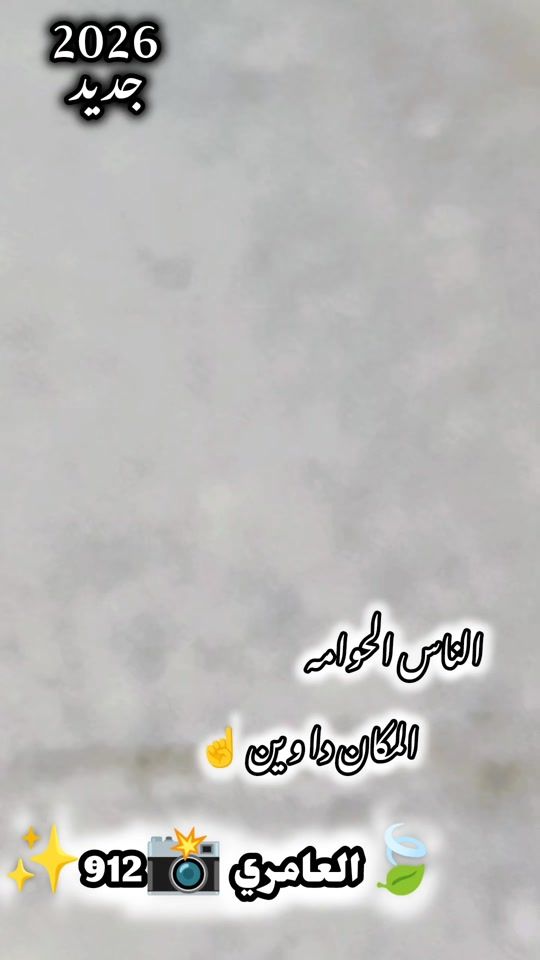 TikTok video thumbnail by wadalmlik