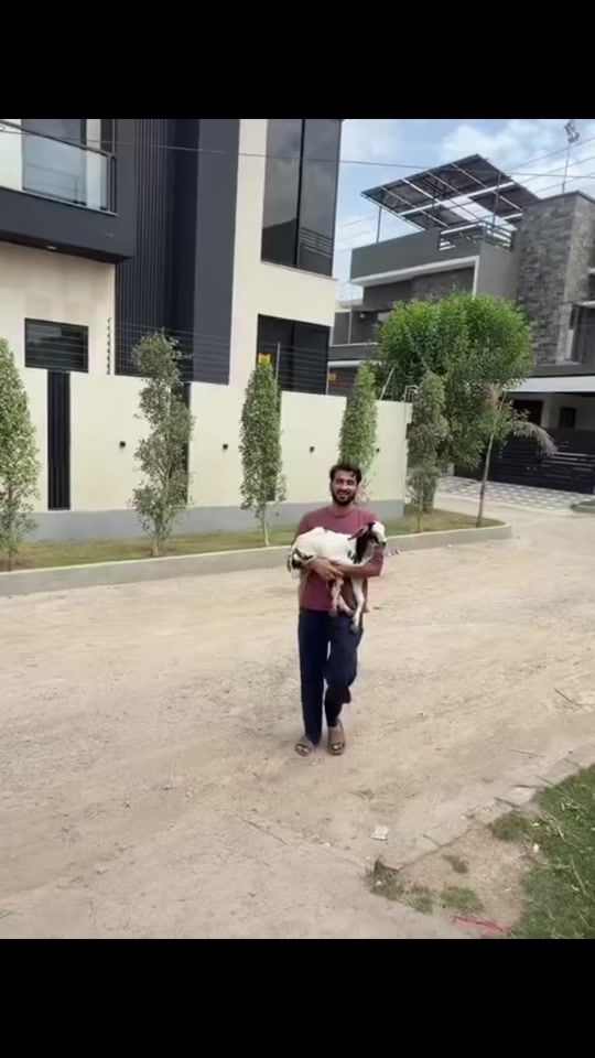 TikTok video thumbnail by shehrmaindehat_offical