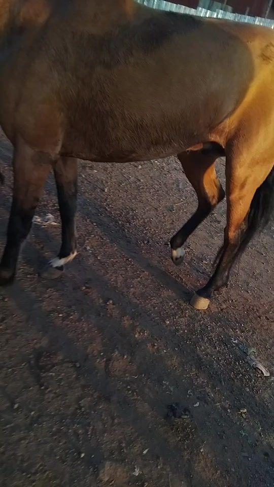 TikTok video thumbnail by yoniman612