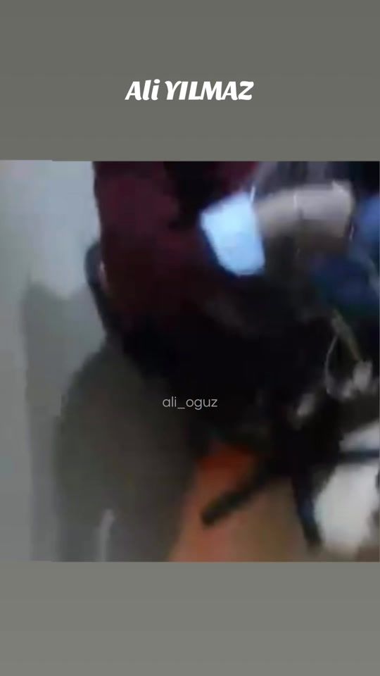 TikTok video thumbnail by ali_oguz