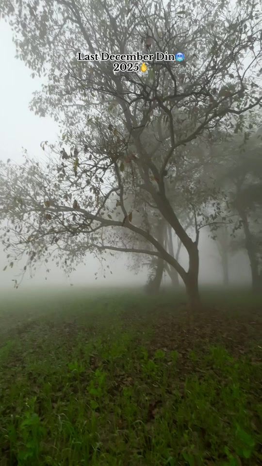 TikTok video thumbnail by shabanhaider1000