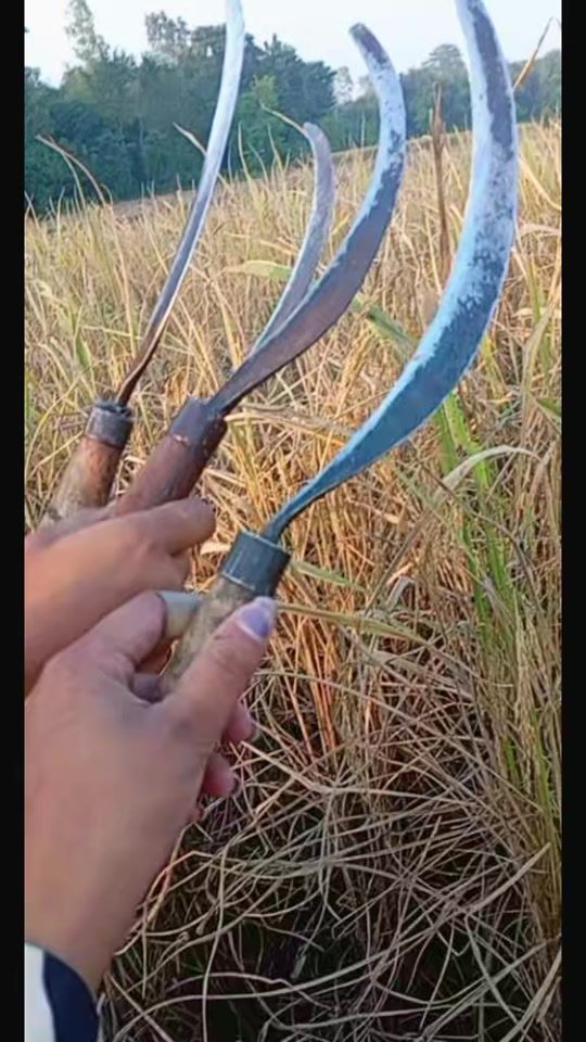 TikTok video thumbnail by umashrestha043