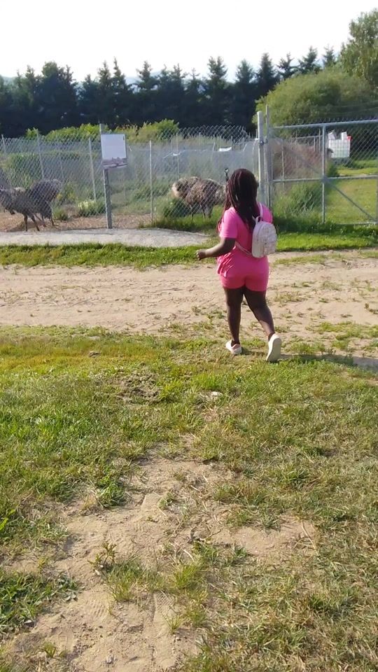 TikTok video thumbnail by ismoledemocrate