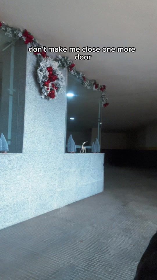 TikTok video thumbnail by grayybird