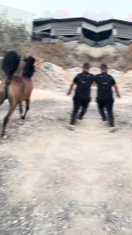 TikTok video thumbnail by ahmad_aboallo