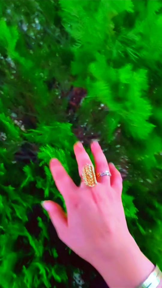 TikTok video thumbnail by useru9obxahcgr