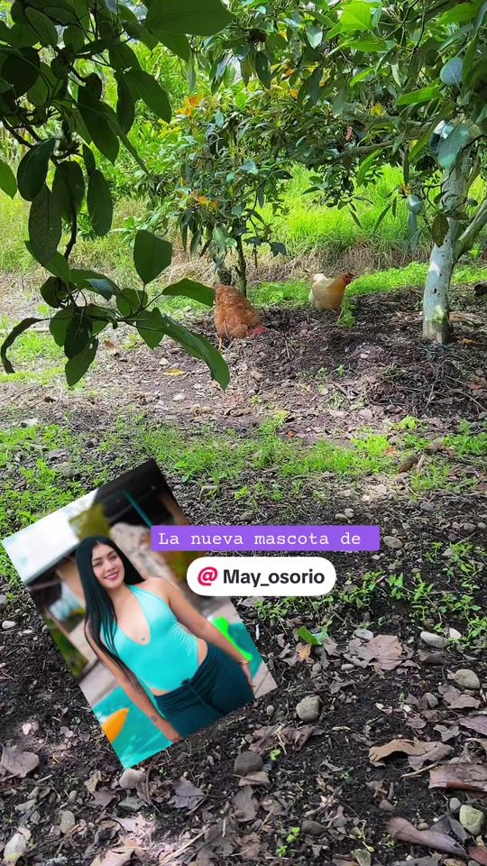 TikTok video thumbnail by axellretos.02