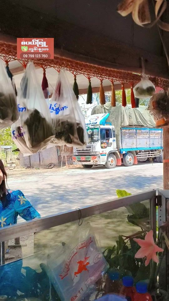 TikTok video thumbnail by sabalphyu927