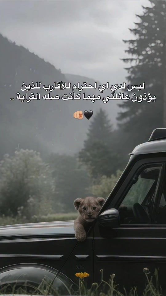 TikTok video thumbnail by ali__hayek_