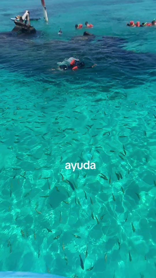 TikTok video thumbnail by magika.1