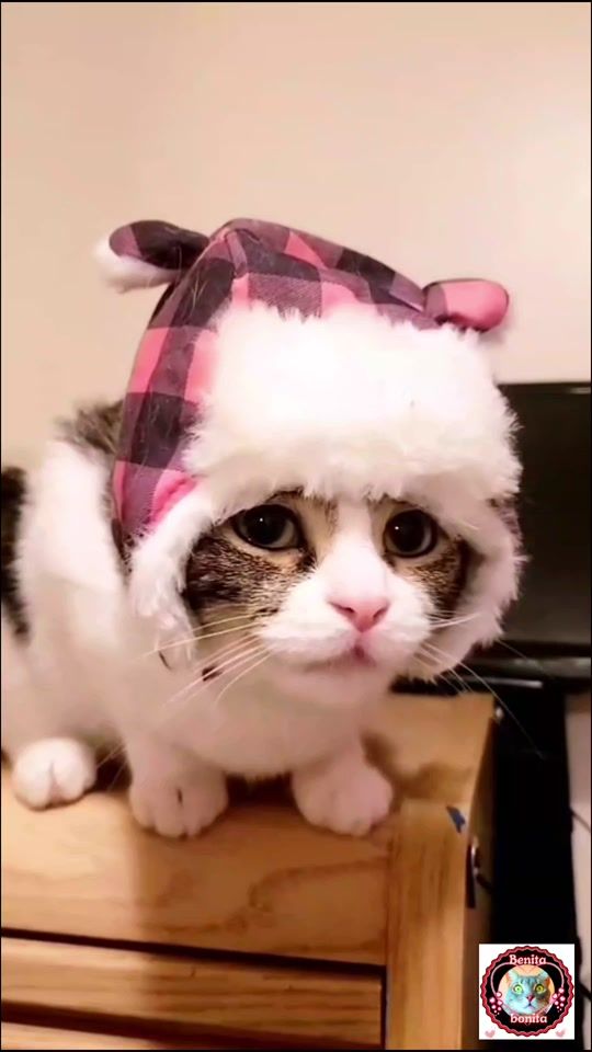 TikTok video thumbnail by berlina73