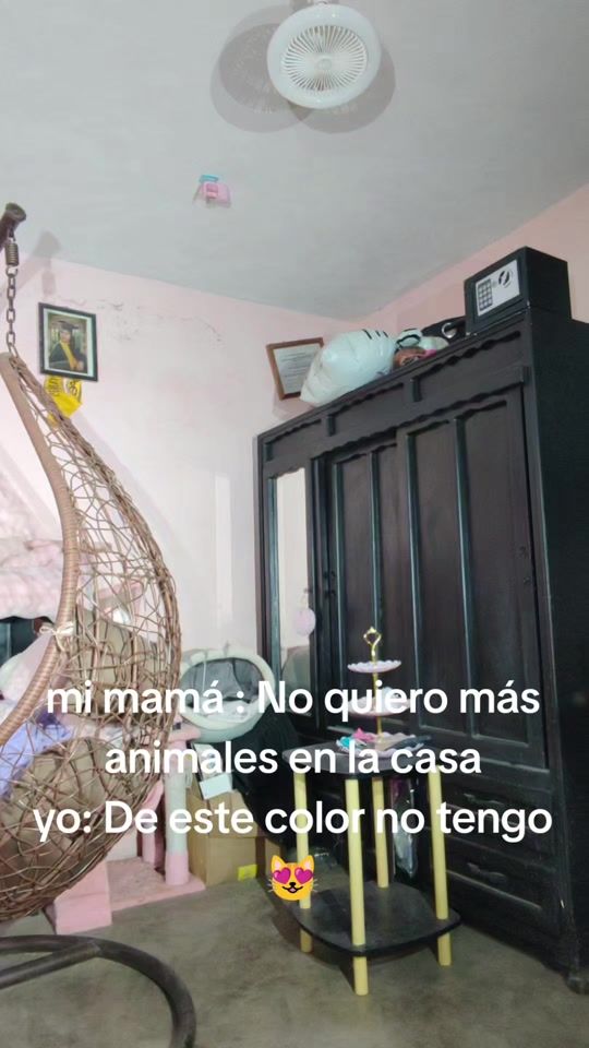 TikTok video thumbnail by palaciosmiriam