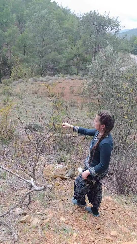 TikTok video thumbnail by nilgunn96