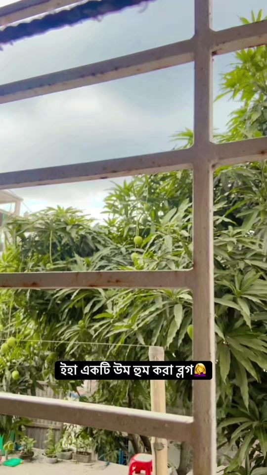 TikTok video thumbnail by manhar_mamma_tanha