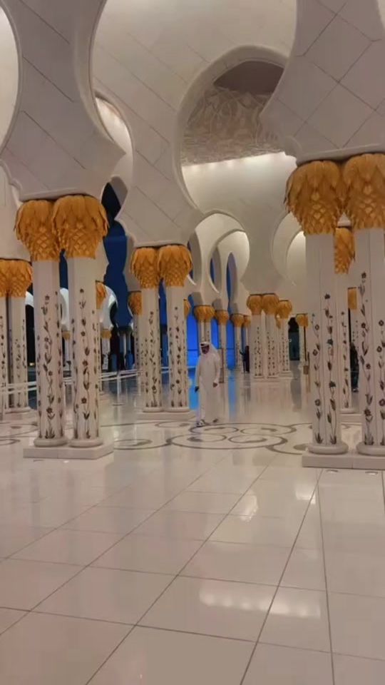 TikTok video thumbnail by abuziadalameri