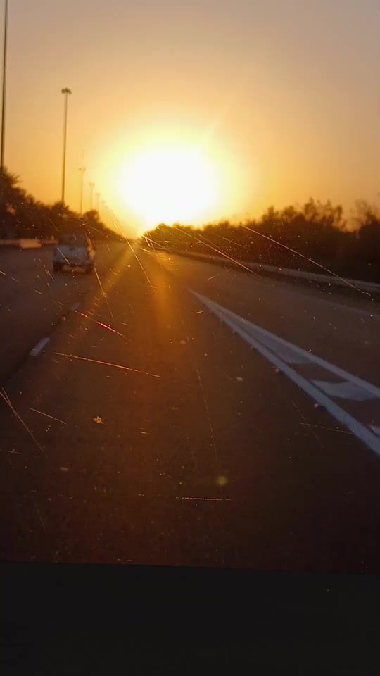 TikTok video thumbnail by lewanimalang35