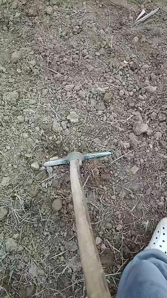 TikTok video thumbnail by samdhenl