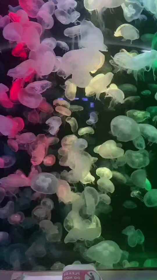 TikTok video thumbnail by aixn.nn1707