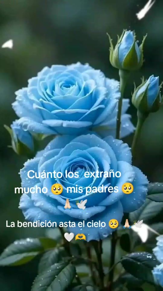 TikTok video thumbnail by marvelysaria