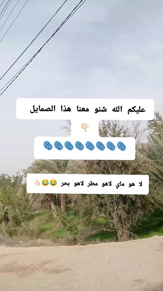 TikTok video thumbnail by 118zxj
