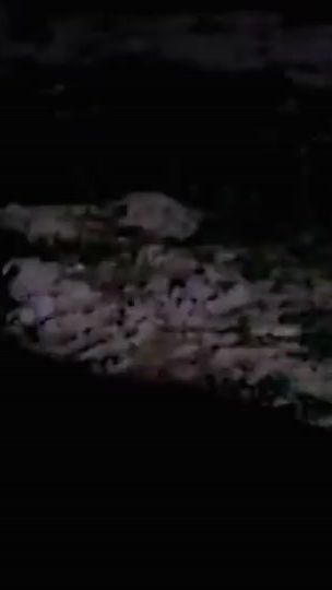 TikTok video thumbnail by saniloves