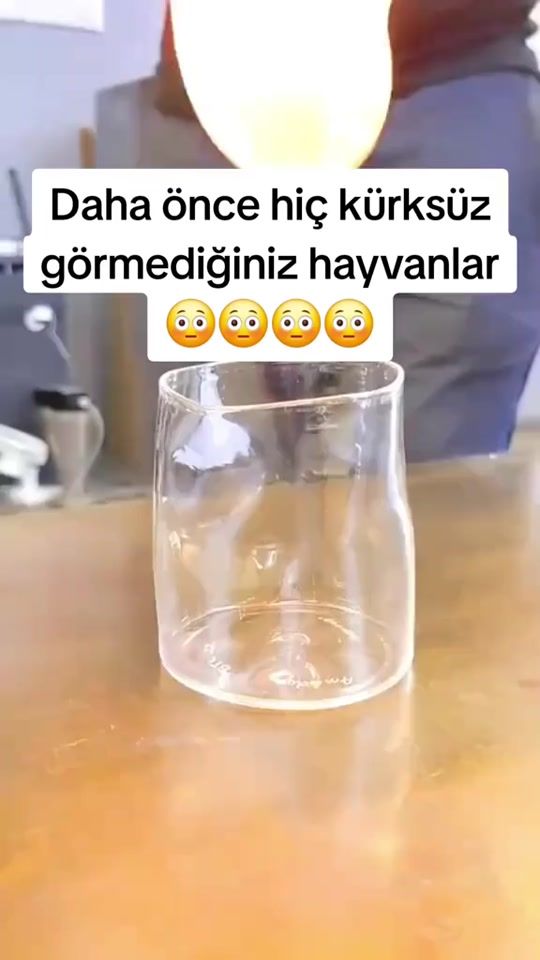TikTok video thumbnail by t5drw