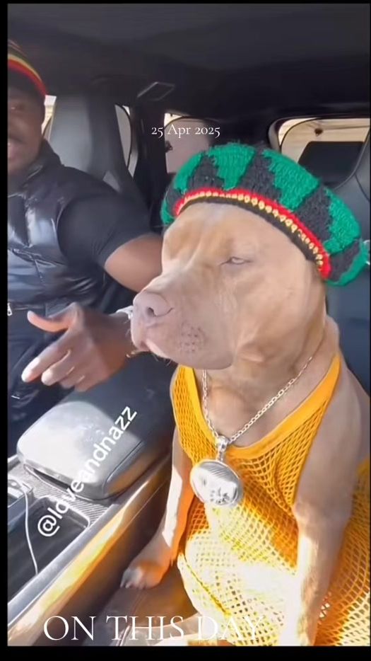 TikTok video thumbnail by wpaul256