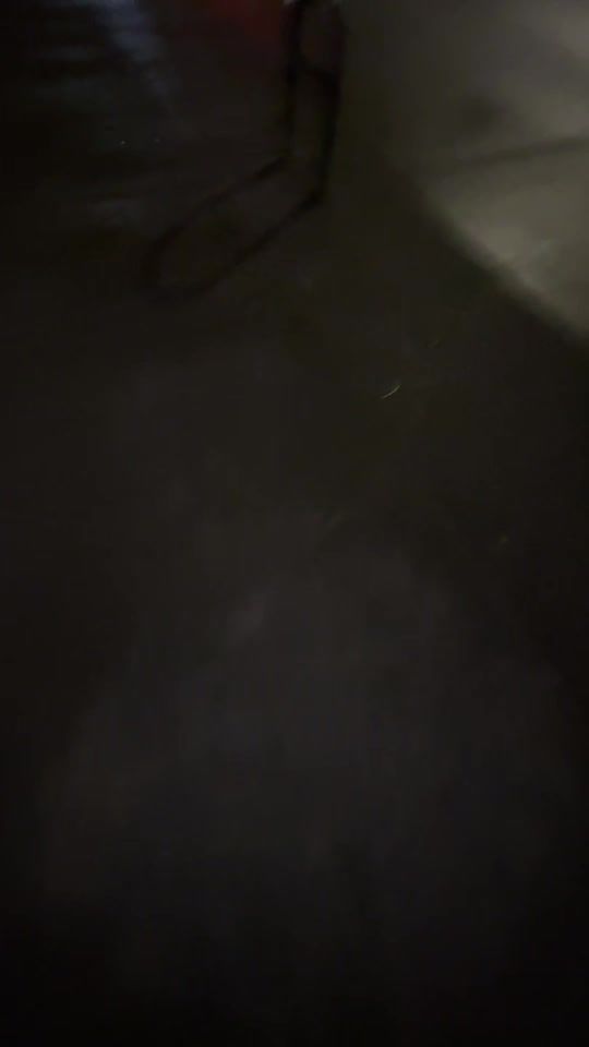 TikTok video thumbnail by thingsbytaran