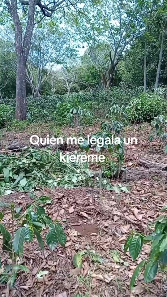 TikTok video thumbnail by paul124567