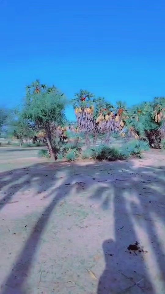 TikTok video thumbnail by user5912538510662