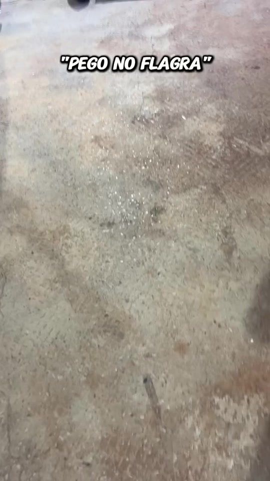 TikTok video thumbnail by ocrispereira