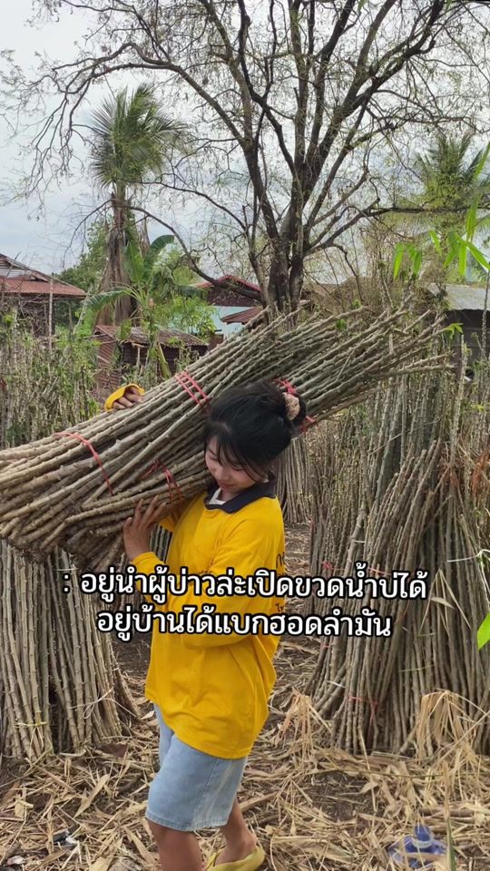 TikTok video thumbnail by kwan_khao_99