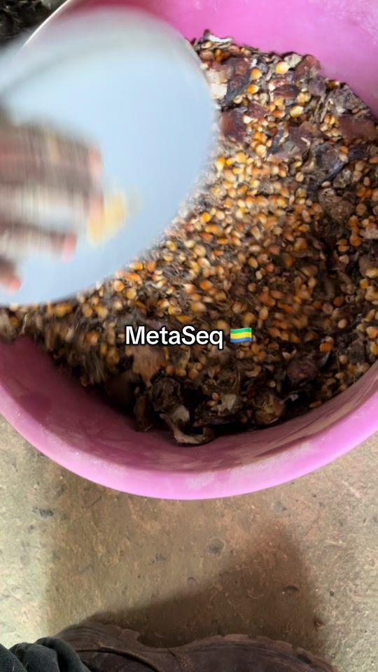 TikTok video thumbnail by metaseq4