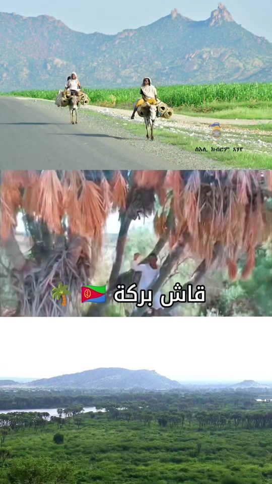 TikTok video thumbnail by hamedawati