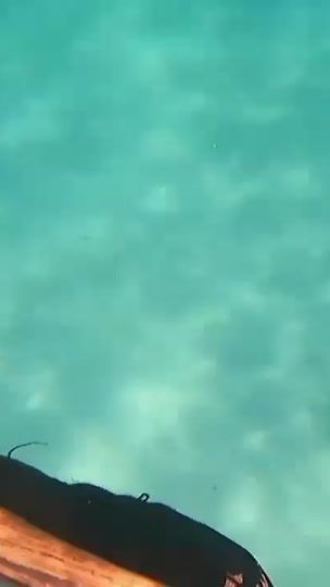 TikTok video thumbnail by tom_btnd