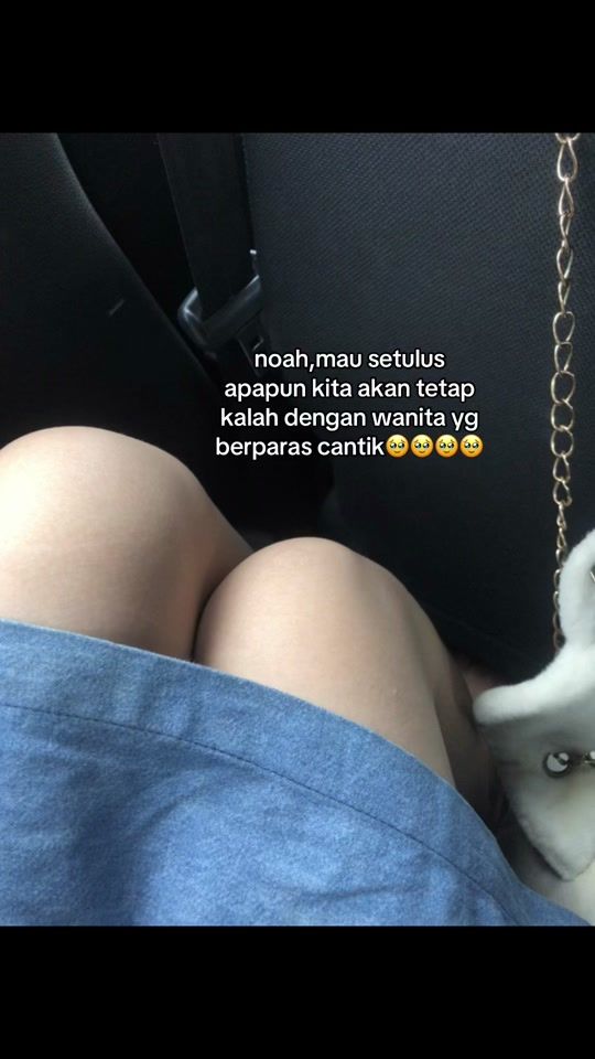 TikTok video thumbnail by alfrnkwn