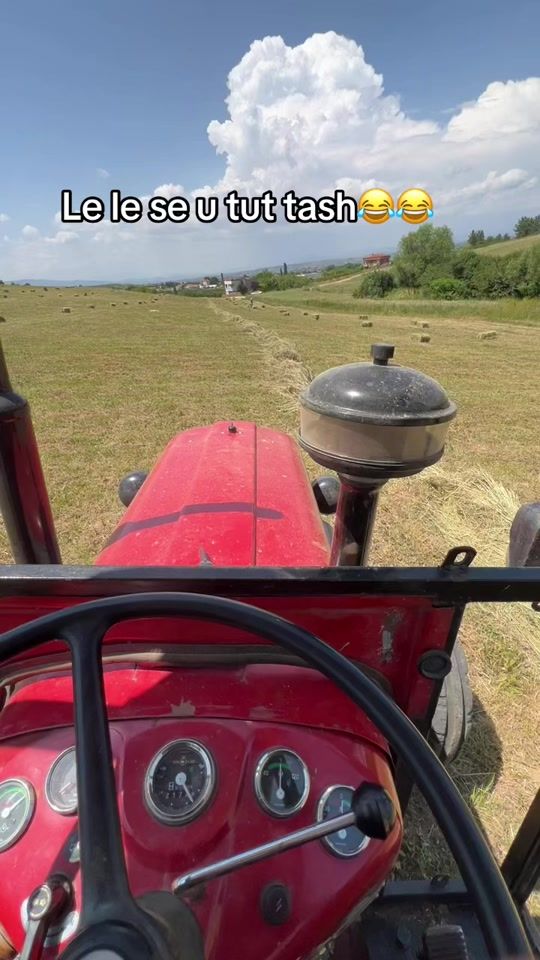 TikTok video thumbnail by mendy.farm
