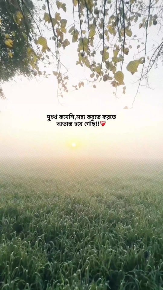 TikTok video thumbnail by _sanju_60