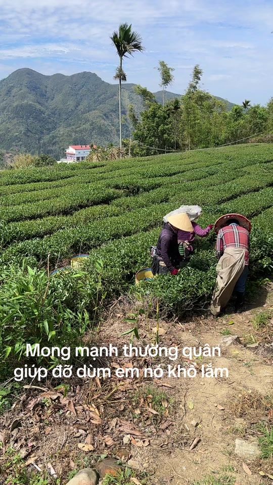 TikTok video thumbnail by m.n.thn.v.con.70
