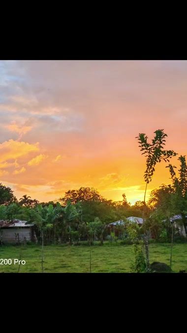 TikTok video thumbnail by nxth2002