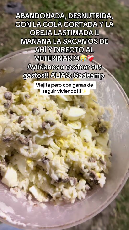 TikTok video thumbnail by tamiquinn99