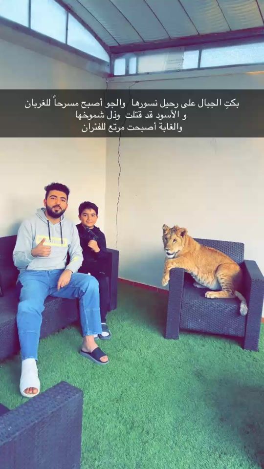 TikTok video thumbnail by userurzz3g7kxf